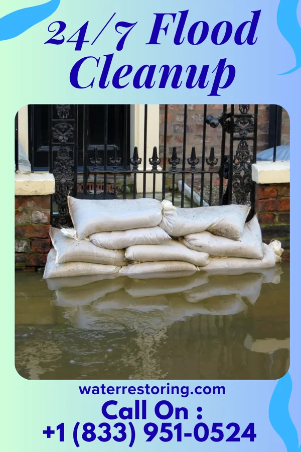 24/7 Flood Cleanup in Williston, SC