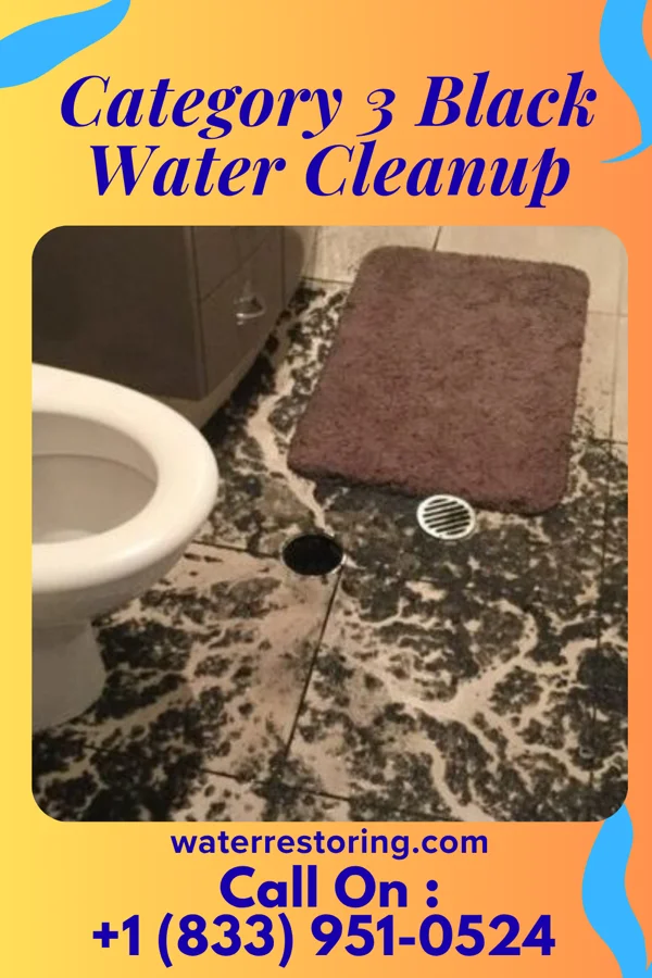 Category 3 Black Water Cleanup in Williston, SC