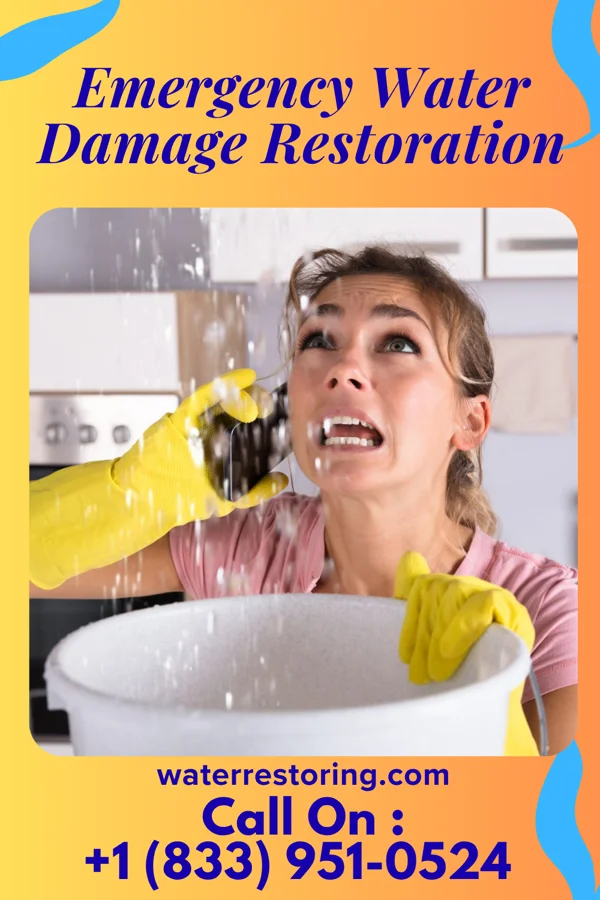Emergency Water Damage Restoration in Williston, SC